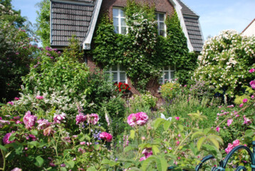 Vorgarten von Ute Dahm und Thomas Mllers in Wesel