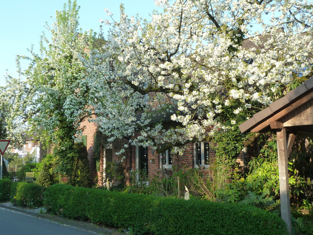Garten der Familie Heumannskmpfer in Sendenhorst