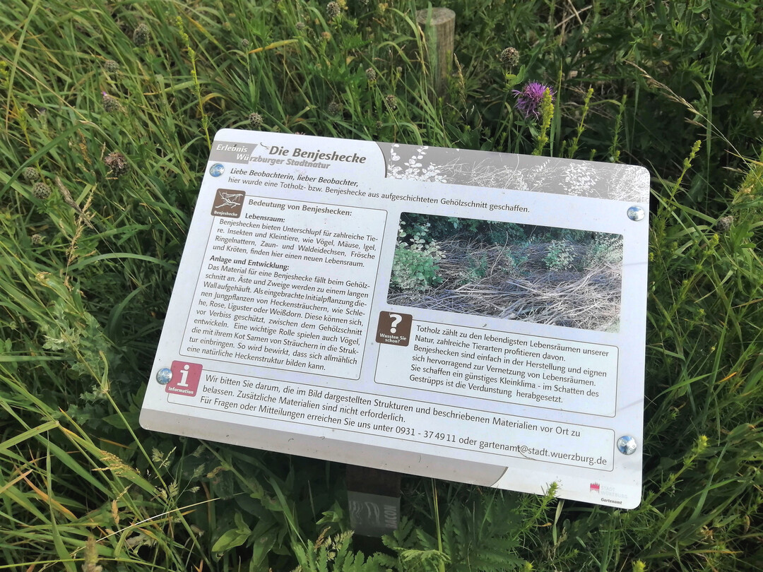 Eine vom Gartenamt der Stadt Wrzburg entwickelte und fest installierte Info-Tafel informiert am Weg vor einer modifizierten Benjeshecke in einer Wrzburger Grnanlage ber die Manahme und ihre kologische Bedeutung
