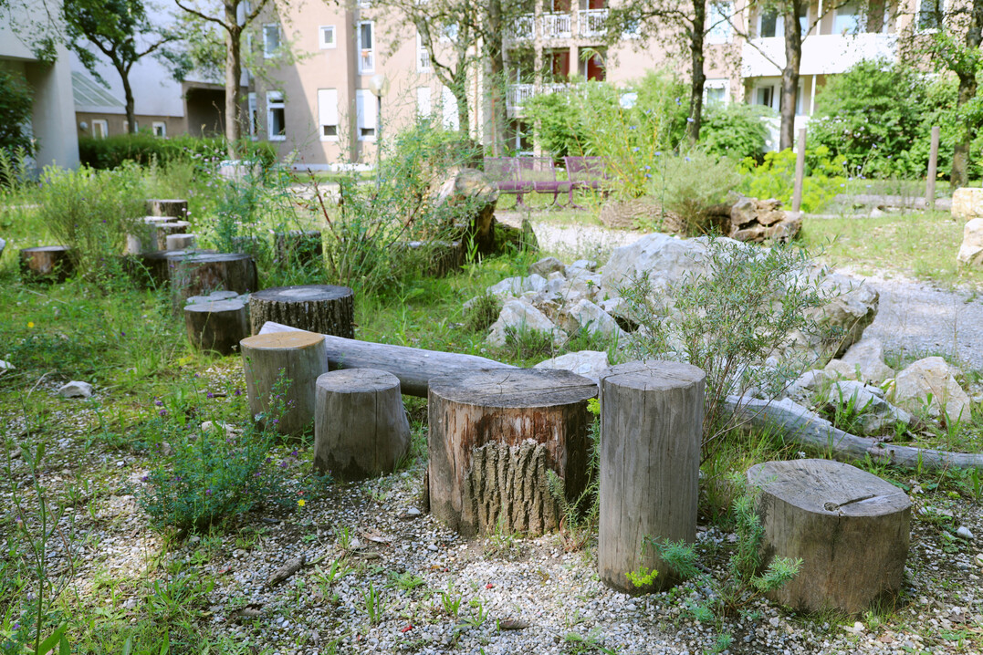 In Augsburg wurden die Auenanlagen der IGEWO-Siedlung naturnah umgestaltet.