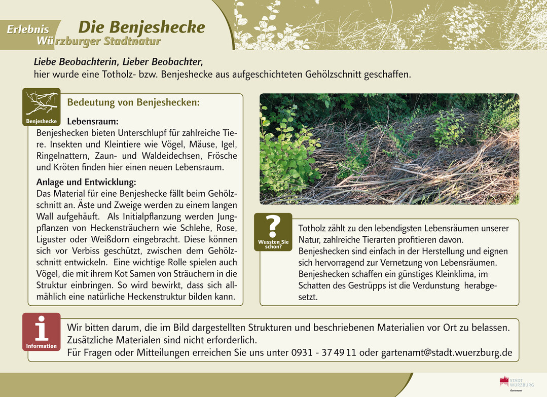 Vom Gartenamt der Stadt Wrzburg entwickelte und fest installierte Info-Tafel, die am Weg vor einer modifizierten Benjeshecke in einer Wrzburger Grnanlage ber die Manahme und ihre kologische Bedeutung informiert