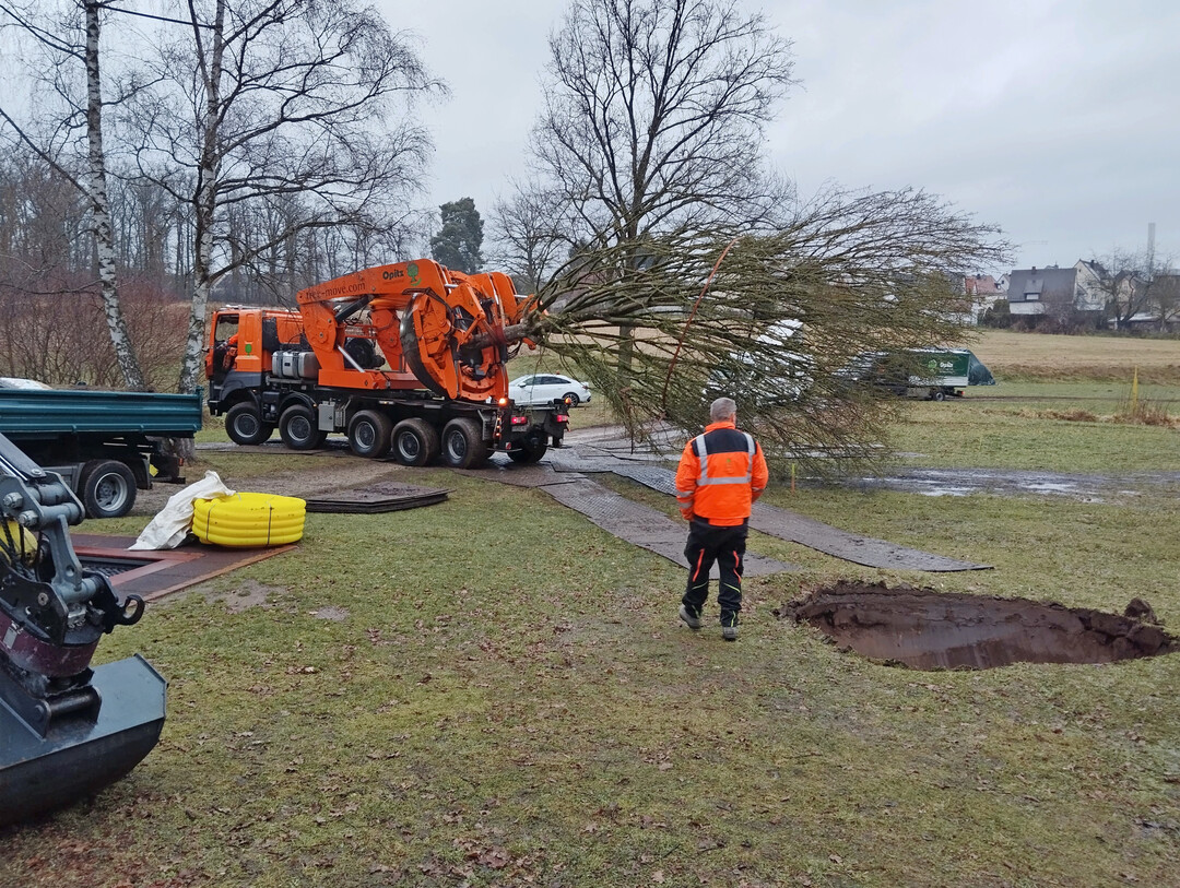 Ankunft am neuen Standort
