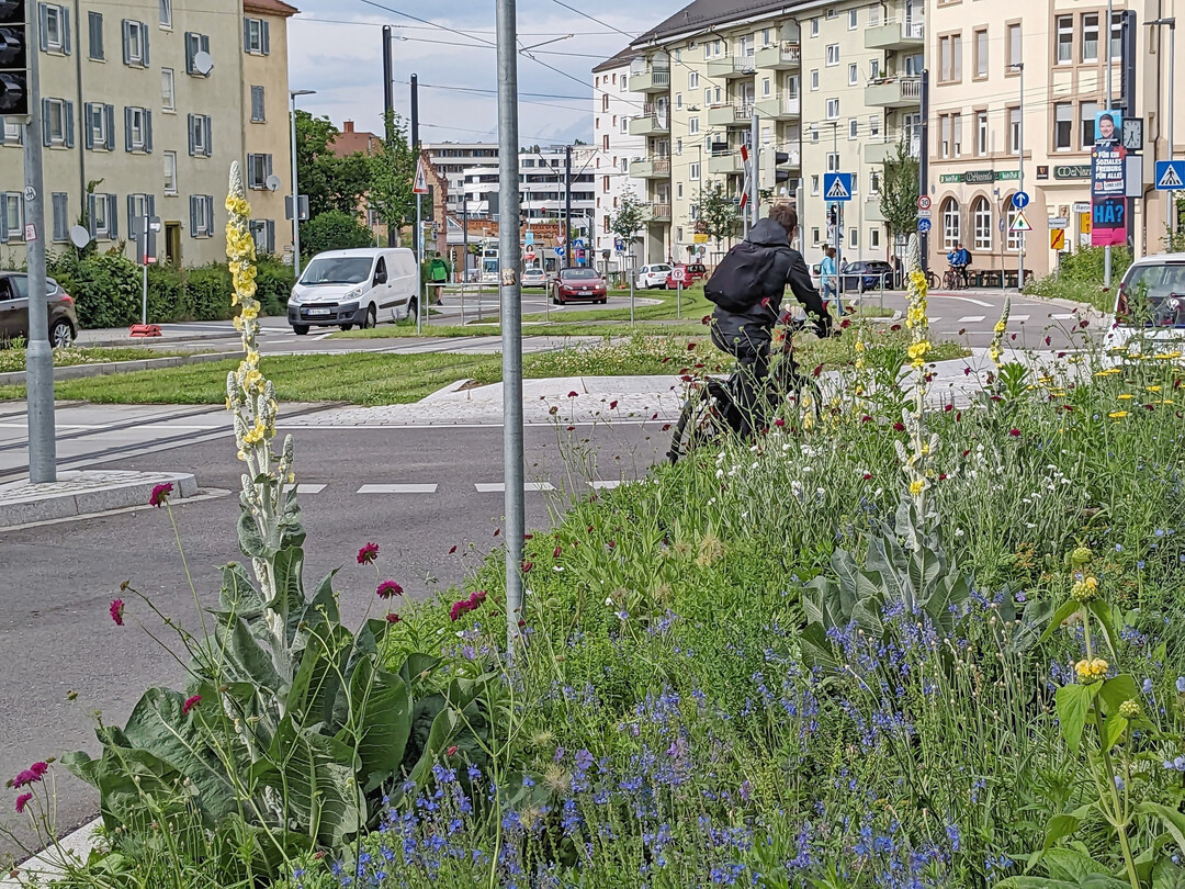 Grüngleise, Verkehrsinseln und naturnahes Begleitgrün gehören in Zukunft zum Standardrepertoire der städtischen Grünpflege.