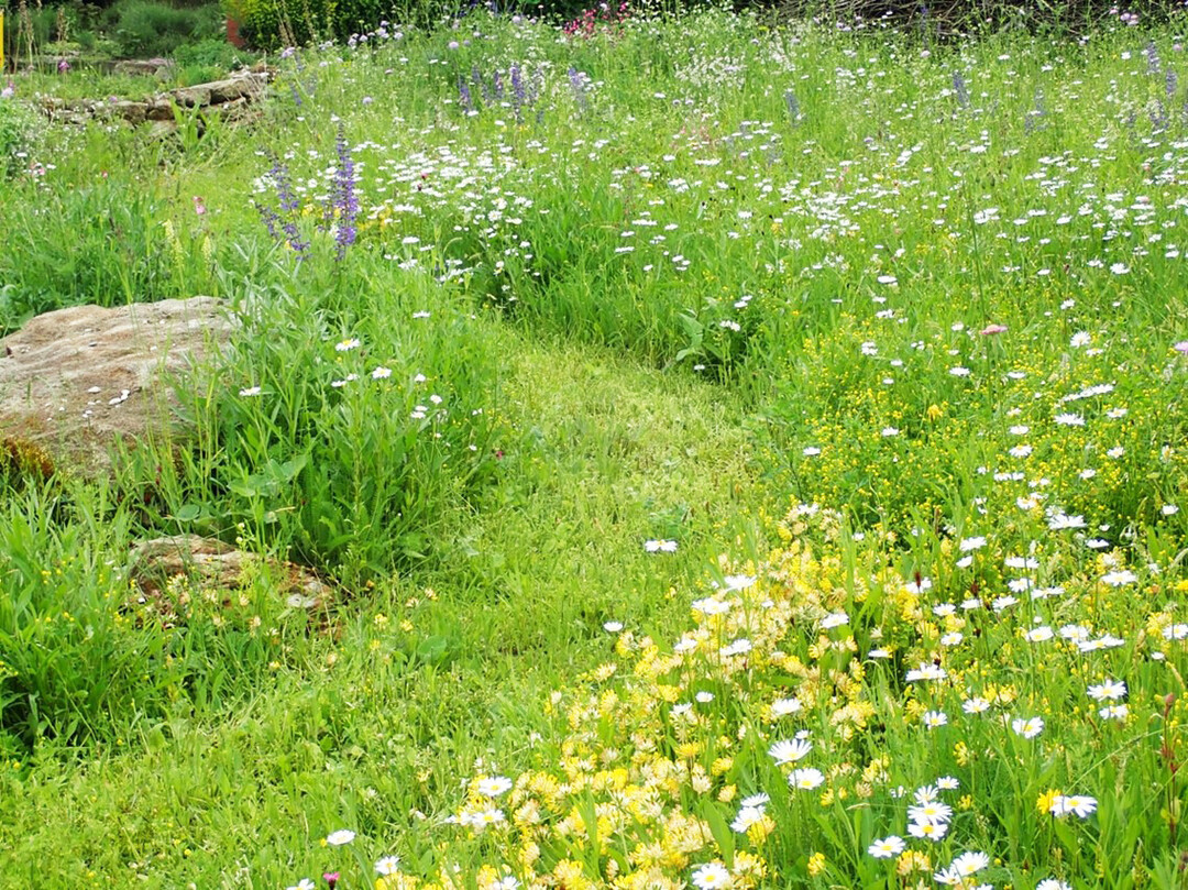 Im Hausgartenbereich kann man das sehr gut mit dem Ausmhen von Laufwegen und Lichtungen, z.B. fr Sitzpltze darstellen, die durch den Garten wandern.