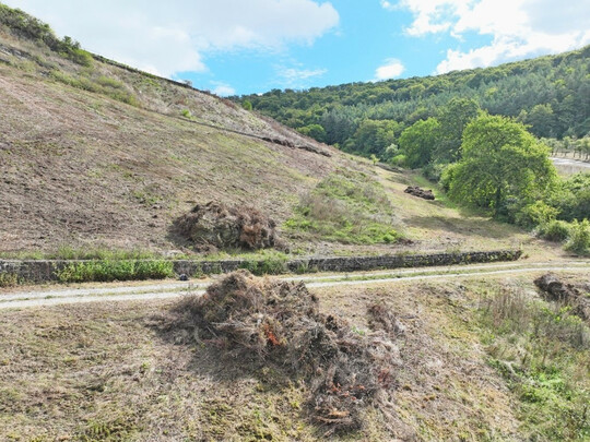 Altgrasstreifen mit vier Arbeitsbreiten eines Doppelmessermhwerkes