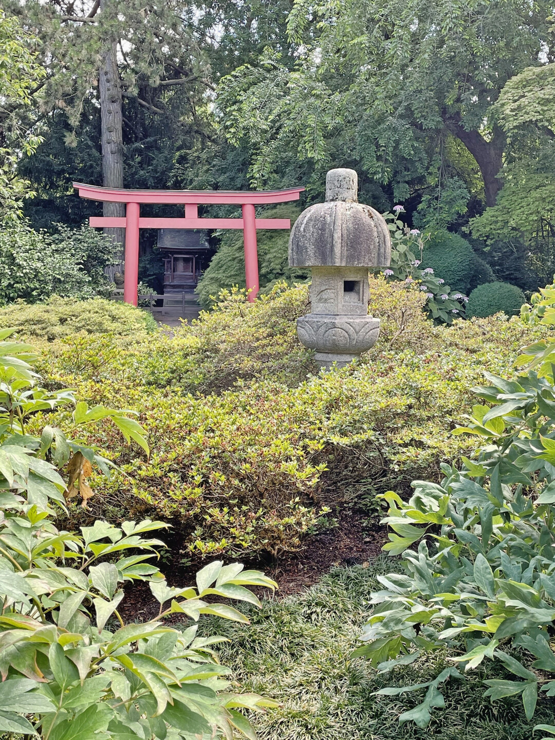 Japanischer Garten