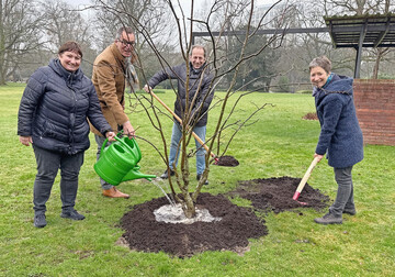 V. l. Gartenbauamtsleiterin Doris Fath, DBG-Geschftsfhrer Dr. Achim Schloemer, Thomas Banzhaf, Vorsitzender der Gesellschafterversammlung der DBG und die Karlsruher Brgermeisterin Bettina Lisbach pflanzten ein Amerikanisches Gelbholz (Cladastris lutea).