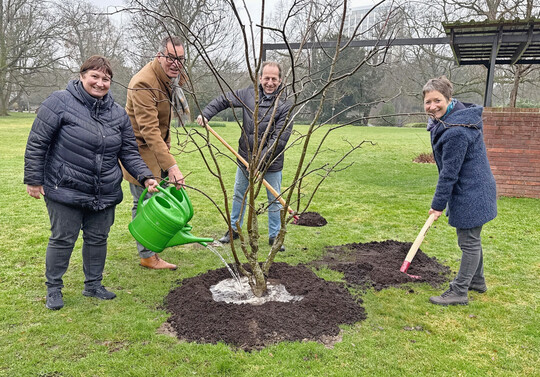 V. l. Gartenbauamtsleiterin Doris Fath, DBG-Geschftsfhrer Dr. Achim Schloemer, Thomas Banzhaf, Vorsitzender der Gesellschafterversammlung der DBG und die Karlsruher Brgermeisterin Bettina Lisbach pflanzten ein Amerikanisches Gelbholz (Cladastris lutea).