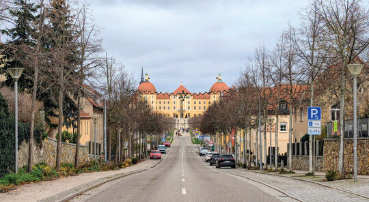 Die Allee im Ort Moritzburg wurde vor 20 Jahren saniert.