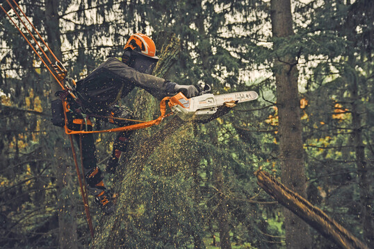 Der Stihl AP Stroppadapter 2in1 liefert bei Arbeiten im Baum die Energie fr die Sge und sichert sie zugleich vor dem Sturz aus der Hhe. 