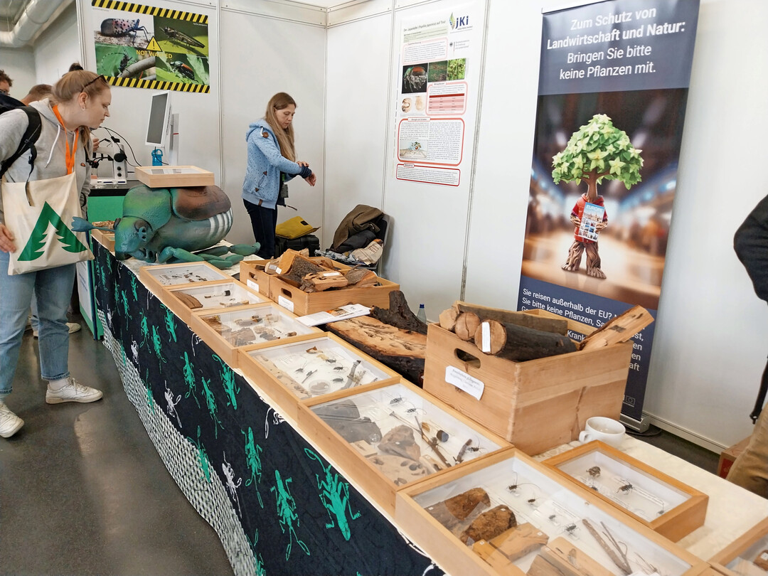 Das Julius-Khn-Institut zeigte an seinem Stand Schadinsekten.