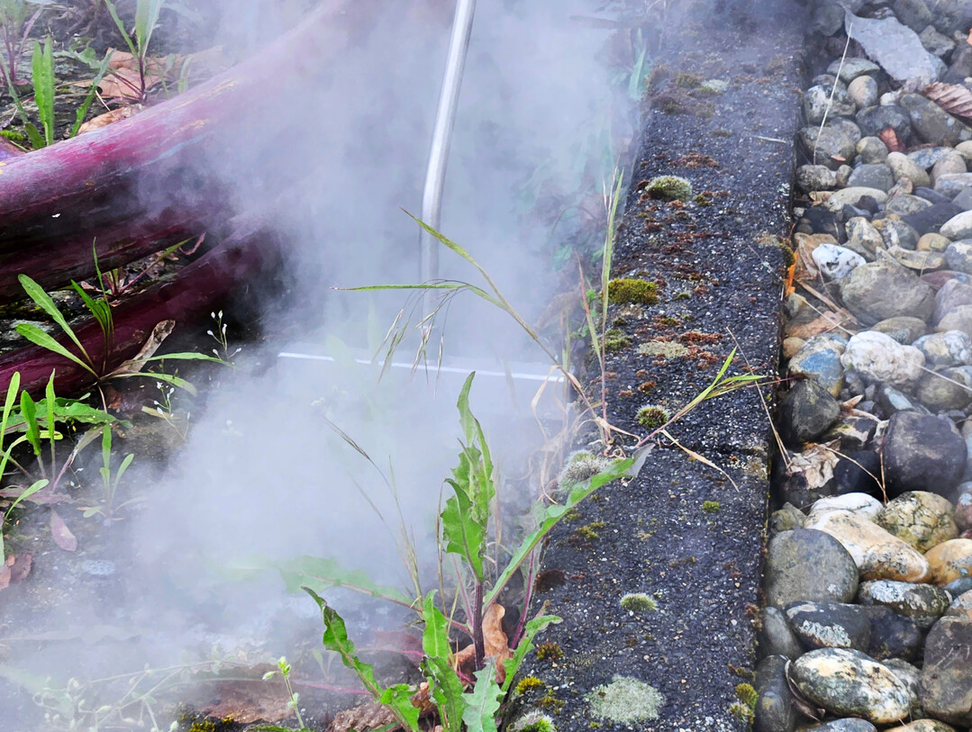 Mit Heiwasser wirkungsvoll gegen Unkraut. Die eckige Dampflanze erreicht auch die Pflanzen an  den Gehwegrndern.