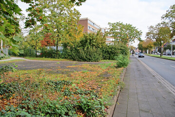 Ehemalige und verwahrloste Rollschuhbahn in Wesel