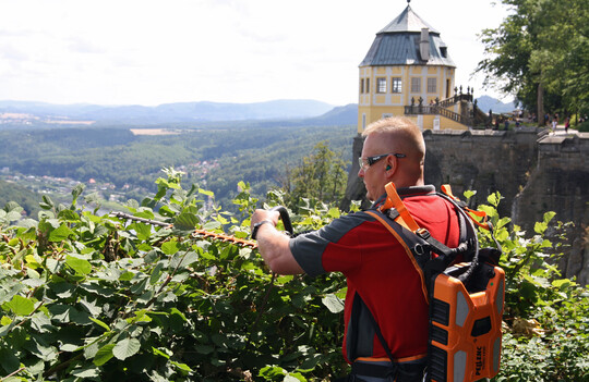 Einsatz mit der Heckenschere Helion 2 auf der Festung Knigstein