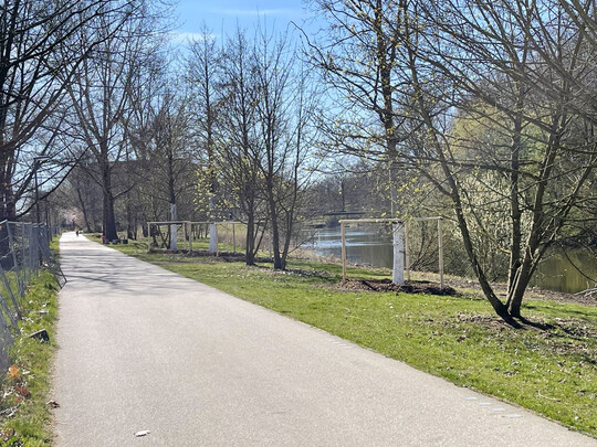 Neun Erlen und eine Stiel-Eiche, rund 25 Jahre alt und 14 m hoch, fanden innerhalb eines Tages einen neuen Platz am Ufer des Wilhelmsburger Rathauswettern in Hamburg. 