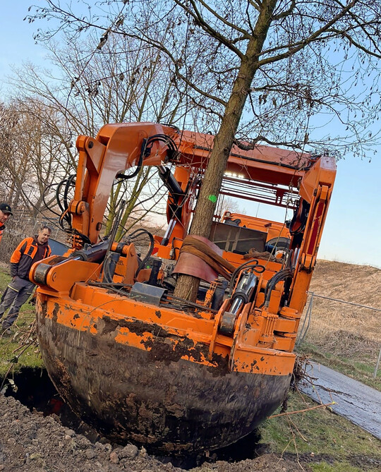 Bei der Ausgrabung und dem Transport der Grobume kam eine Verpflanzungsmaschine zum Einsatz, die Bume mit Stammumfngen von bis zu 120 cm und einem Ballendurchmesser von bis zu  3 m entnehmen und versetzen kann. 