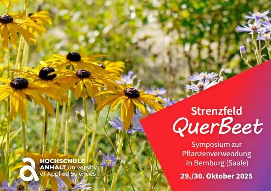 Seminar Pflanzenverwendung