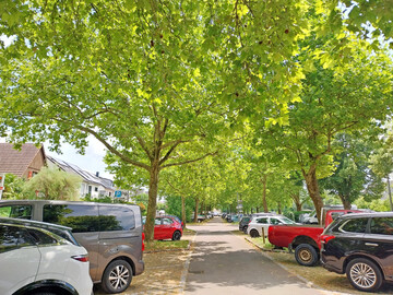Schatten, und wenn es der fr Autos ist, ist fr viele Menschen ein nachvollziehbares Argument fr Bume.