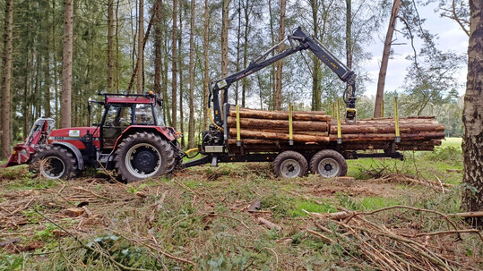 Wo der Harvester und Forwarder aufgrund zu geringer Holzmengen nicht effizient arbeiten knnen, kommen Michael Surmann und sein Team zum Zug.