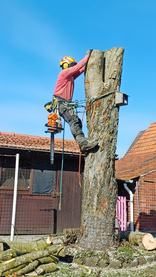 Seilklettertechnik ist fr das Team um Michael Surmann im Arbeitsalltag oft unverzichtbar - vor allem in beengten Situationen kommt dieses Arbeitsverfahren voll zum Tragen.
