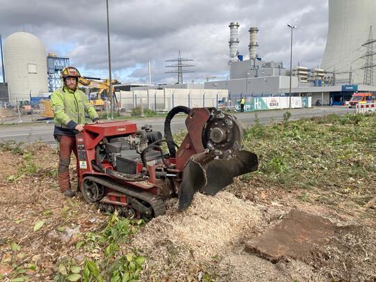 Mit der Stubbenfrse von Toro auf Kettenlaufwerk lsst es sich auch in ungnstigen Gelndebedingungen gut arbeiten, im Hintergrund das Gaskraftwerk von RWE am Standort Lingen.