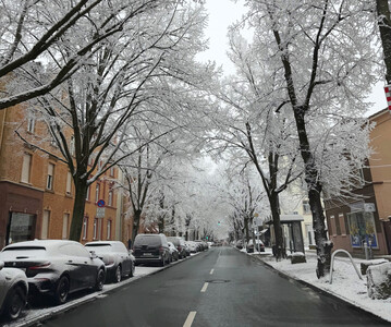Auf Asphalt bildet sich gerade in den Morgenstunden immer wieder Black Ice.