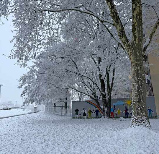 Schneeballschlacht oder nicht? Whrend sich echter Schnee formen lsst, ist das beim feinkrnigen Industrieschnee nicht mglich.
