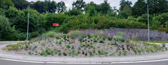 Zustand 23. August 2025