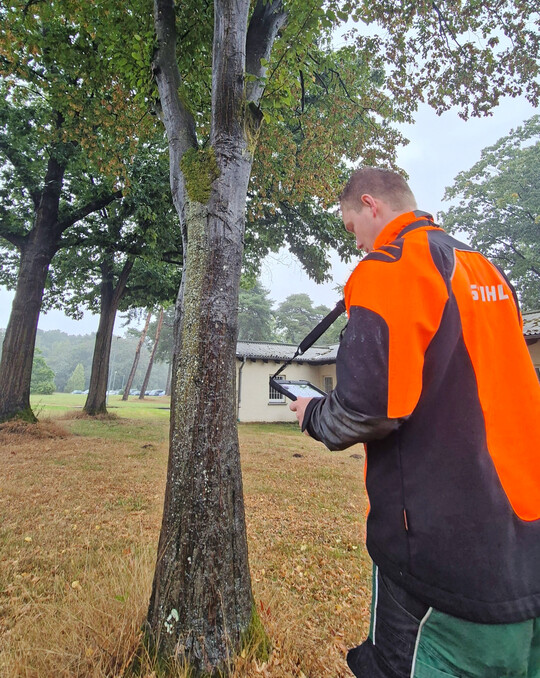 Die Baumkontrolle hat in den vergangenen Jahren mehr und mehr an Bedeutung gewonnen – auch bei der Bundeswehr.