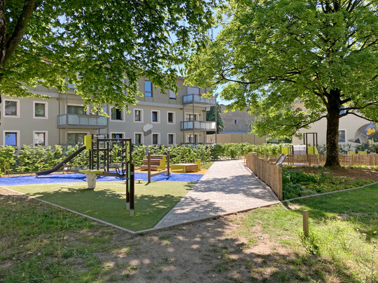 Die HVG bewertet unter wissenschaftlicher Begleitung, welchen umwelttechnischen Beitrag Bäume leisten.