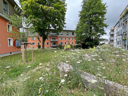 Extensive Grünflächen müssen gewollt aussehen, damit sie von Mietern akzeptiert werden.