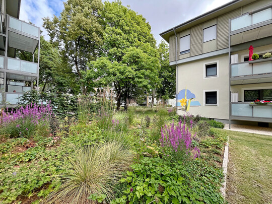 Im Dortmunder Modellquartier Bergmannsgrün wurde ein digitales Monitoring implementiert, um die Pflanzungen zu überwachen und zu optimieren.