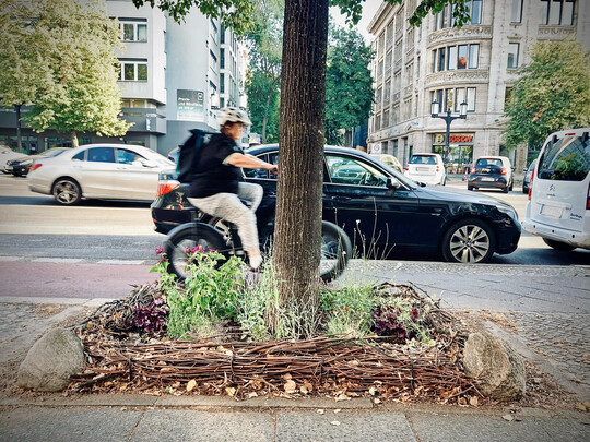 Pinkelstein mit Totholzhecke in Nürnberg