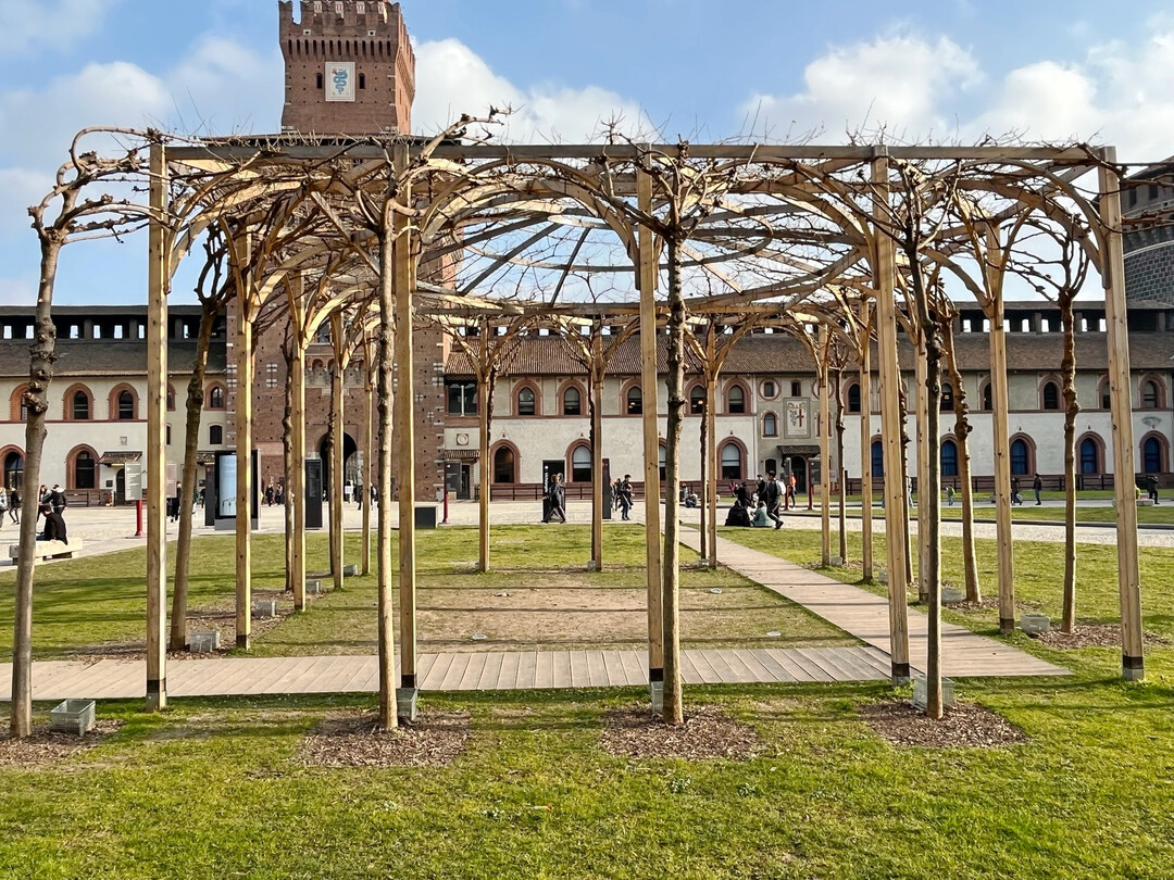 Pavillon aus Morus alba nach historischem Vorbild in Mailand, Castello Sforzesco