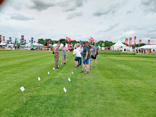 Auf der Sonderschau Rasen der Messe demopark kann man sich ber Rasensorten und -mischungen informieren  hier mit Dr. Harald Nonn (l.)