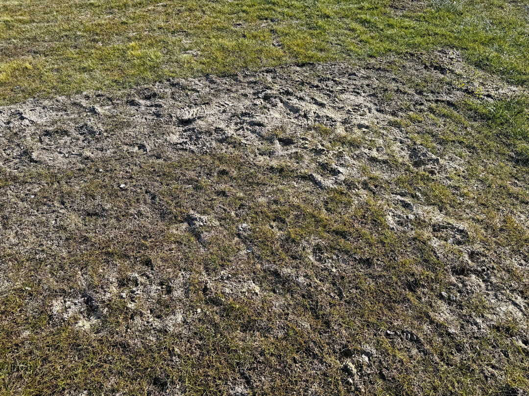 Acker statt Rasen – im Februar 2025 war der slowakische Platz für die U-21-EM fast unbespielbar.