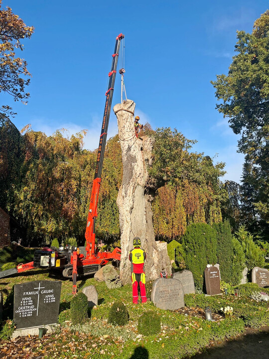 Der F�llkran ist eine der Maschinen, die den Arbeitsalltag erheblich erleichtern.