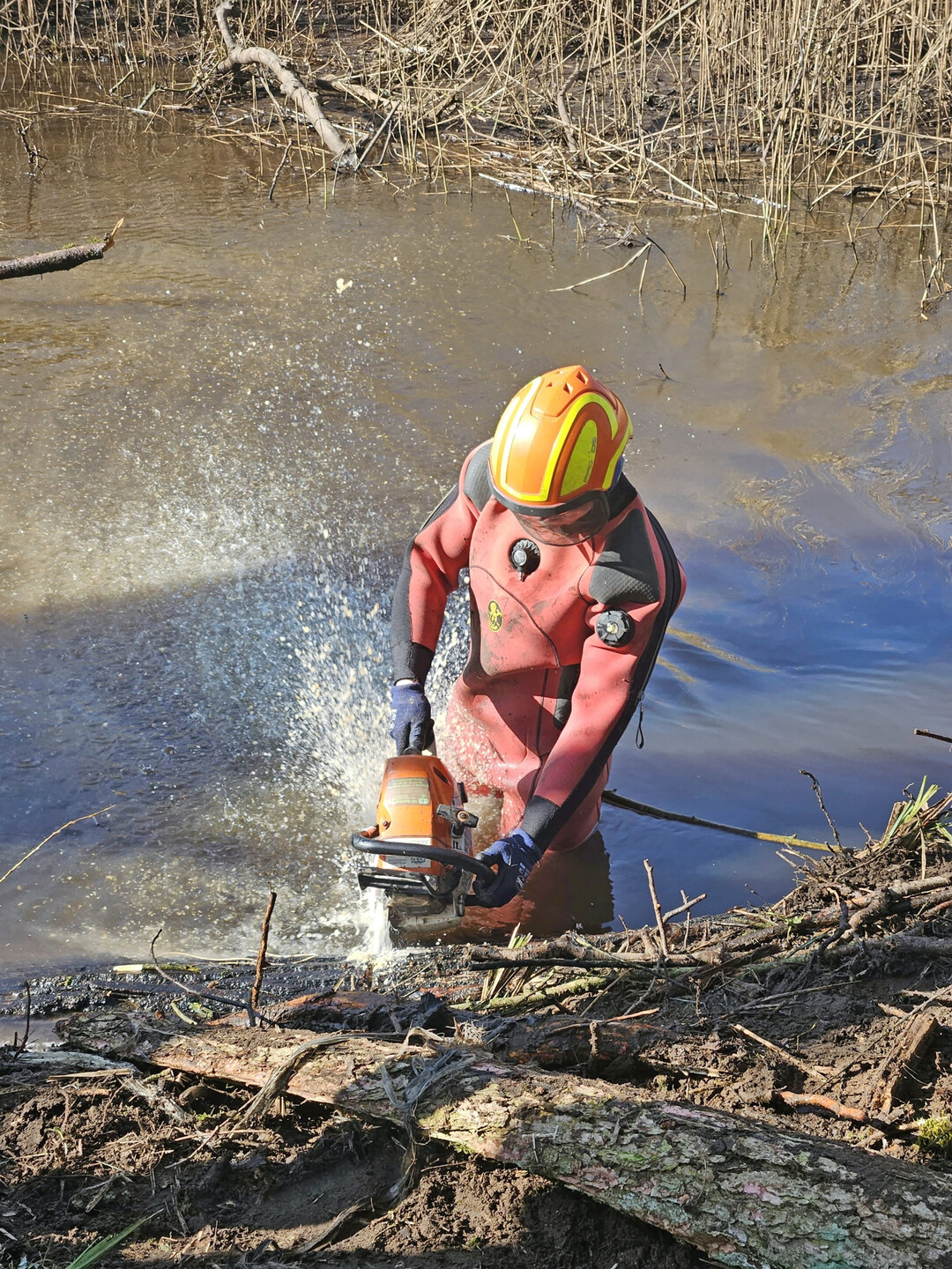 Auch f�r Arbeiten im und am Wasser ist das Team von SP-Baumpflege gut ger�stet.