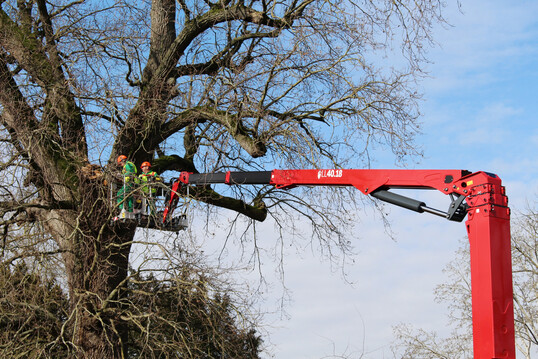 Jede Menge Arbeitshhe, Reichweite und Bewegungsfreiheit im Arbeitskorb bietet die in drei Antriebsvarianten verfgbare Hinowa Lightlift 40.18.
