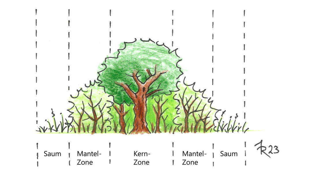 Zonaler Aufbau einer natürlichen Hecke