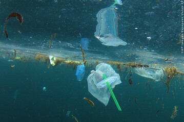 Mit dem Verbot soll die Verunreinigung der Meere durch Plastik gestoppt werden. Aber auch die Stdte werden profitieren.