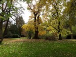 Das Arboretum in Stuttgart-Hohenheim gehört zu den beliebtesten Grünzonen in Stuttgart - zu jeder Jahreszeit.