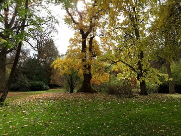 Das Arboretum in Stuttgart-Hohenheim gehrt zu den beliebtesten Grnzonen in Stuttgart - zu jeder Jahreszeit. 