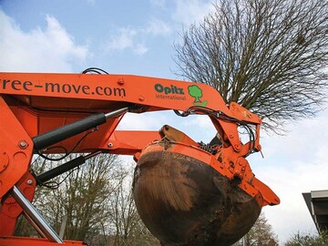 Der Baum wird samt Wurzelwerk aus 
der Erde gehoben. 