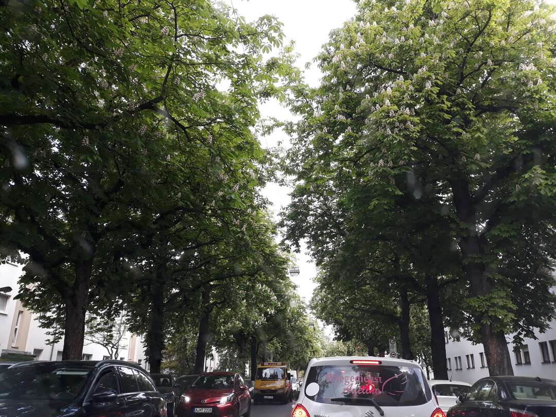 Kastanienallee in Ausgburg
