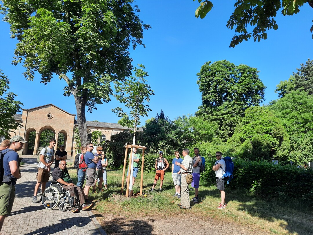Auf dem Friedhof Mannheim ging es um Artenschutz, speziell von Fledermusen.