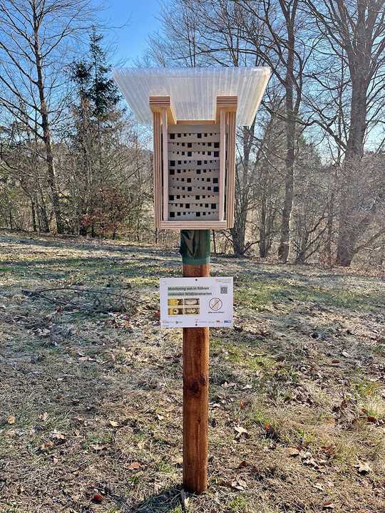 Trapnest mit verschieden großen Öffnungen für unterschiedliche Wildbienenarten