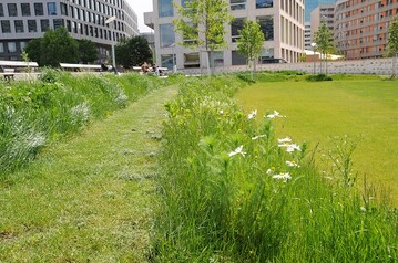 Quartierpark Pfingstweid