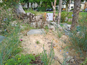 Sandlinse mit Totholz, Steinen und Bepflanzung in Kelkheim im Taunus
