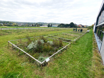 In Beeten von je 5 � 5 m wurden sieben Methoden angelegt. Die Abst�nde sind Vielfache der Rasenm�herbreite zur effizienten Mahd des direkten Umfelds. Auf Schildern werden die Methoden beschrieben.